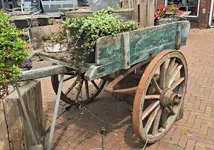 20250605_141434.webp