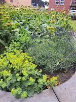 20250605_134052.webp