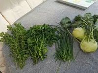 IMG_20250605_105238.webp