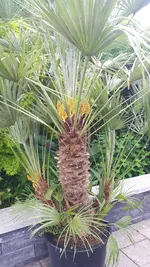 20250606_132922.webp