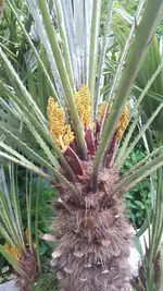 20250605_150734.webp