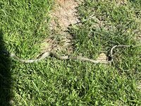 IMG_8621.jpeg