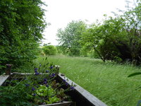 P1080041.JPG