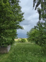 P1080175.JPG