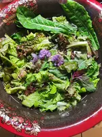 IMG_20250606_175335.webp
