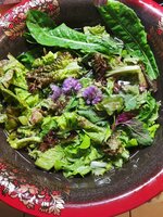 IMG_20250606_175335.jpg