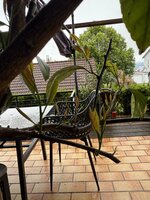 IMG_4500.jpeg