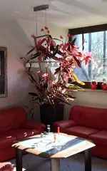 IMG_0568-1.webp