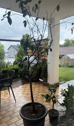 IMG_4505.jpeg