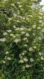 PXL_20250607_114957566.jpg
