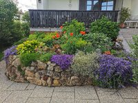 IMG_20250603_152420.jpg