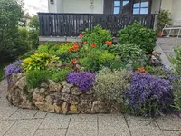 IMG_20250603_152420.webp