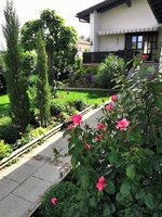 IMG_20250603_154104.jpg