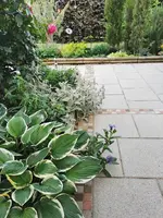 IMG_20250606_192234.webp
