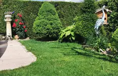 IMG_20250603_155709.webp