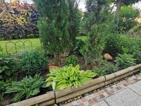 IMG_20250606_183518.jpg