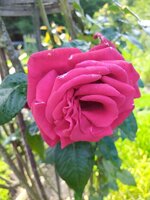 IMG_20250606_115843_1.jpg