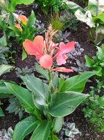 IMG_20250601_161718.jpg