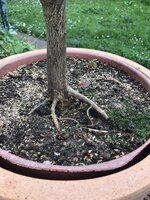 IMG_1343.jpeg