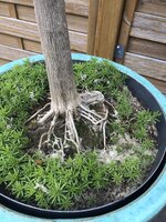 IMG_1359.jpeg