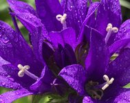 IMG_0130 2.jpeg