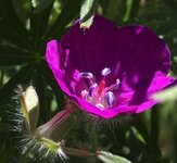 IMG_6529 2.jpeg