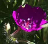 IMG_6529 2.jpeg