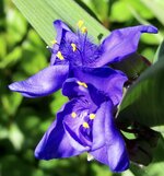 IMG_0347.JPG