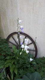 20250602_201022.jpg