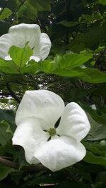 20250607_120521.jpg