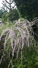 20250607_110121.webp