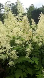 20250607_102733.webp