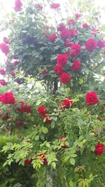 20250607_102748.webp