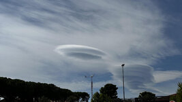 IMG_D2EB64AB78C5-1.jpeg