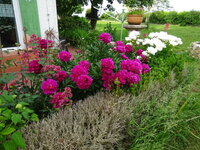 DSC03814.JPG