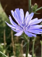 IMG_0572.jpeg