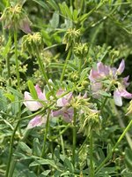 IMG_0569.jpeg