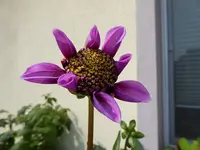 002.webp