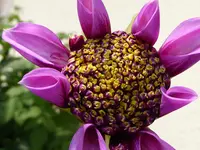004.webp