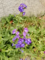 IMG_20230829_161407 (1).webp