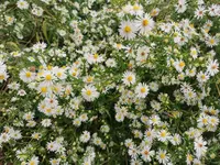 IMG_20231007_164205.webp