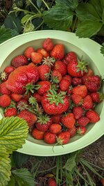 PXL_20250609_113637523.jpg