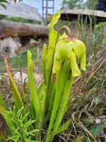 20250601_162116.webp