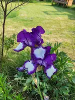 20250531_171741.webp