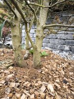 IMG_20250609_180136.jpg
