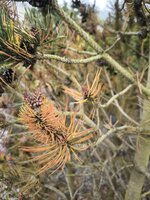 IMG_20250609_174221.jpg