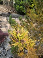 IMG_20250609_193942.jpg