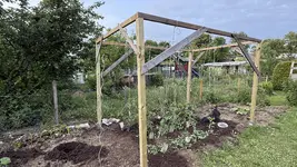 IMG_4610.jpeg IMG_4610.jpeg