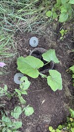 IMG_4618.jpeg