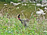 IMG_2287 v (2).webp